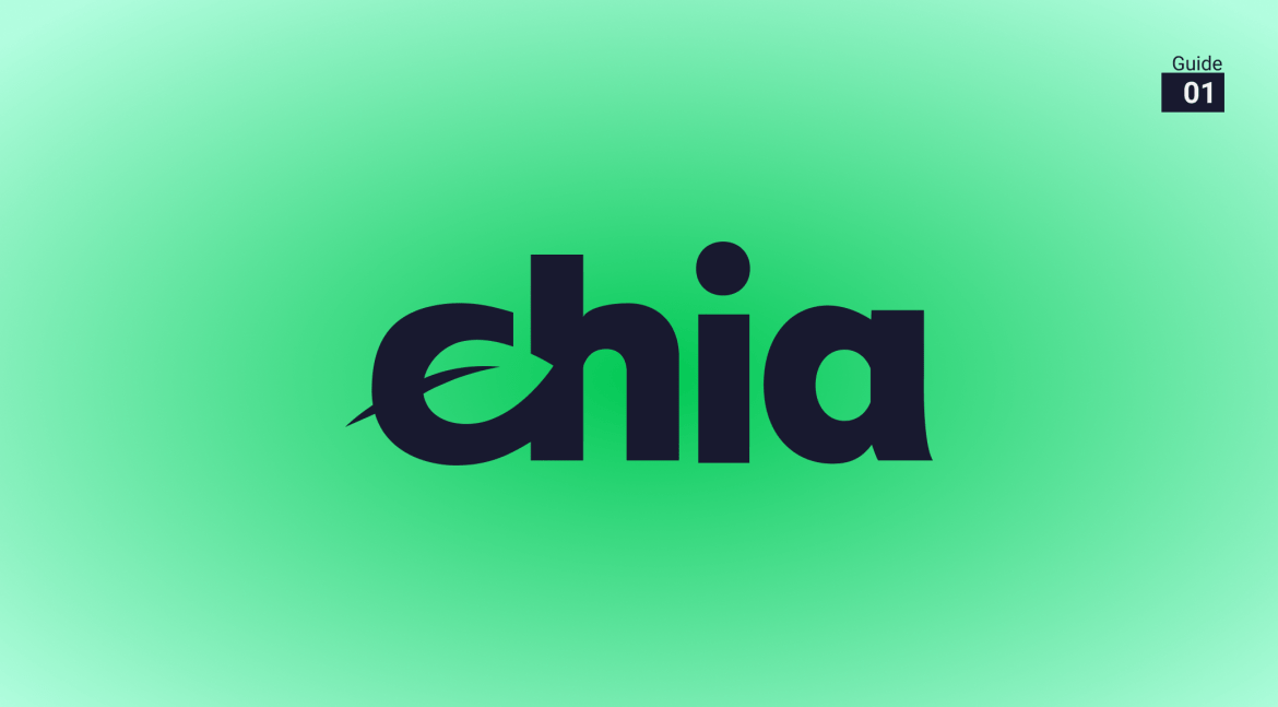 Eco-Friendly Chia Network Gets Elon Musk Boost