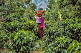 DeFi and Impact Investing Must Work In Tandem to Build Sustainable Economies