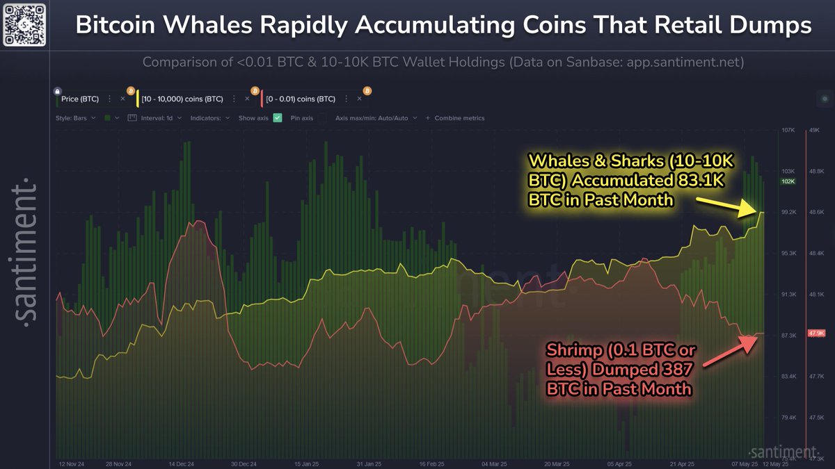 Bitcoin Illiquid Supply Hits Record $1.4 Billion with 83,105 BTC Accumulated by Whales in Largest 30-Day Increase