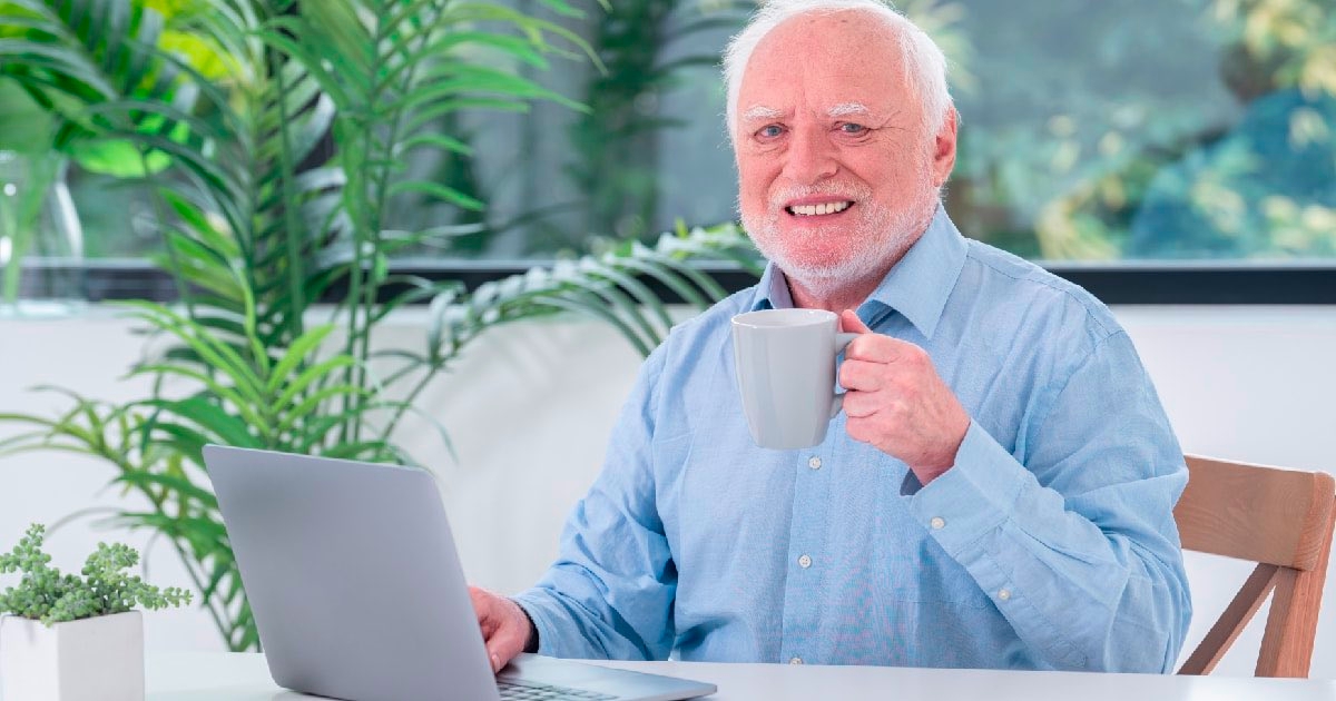 Hide the Pain Harold
