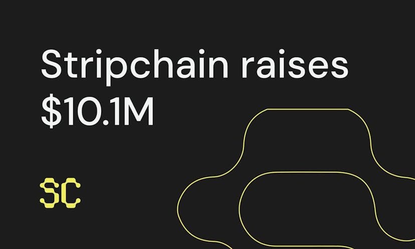 Stripchain raises $10.1M in order to unify blockchains through chain abstraction