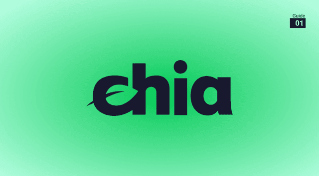 Eco-Friendly Chia Network Gets Elon Musk Boost
