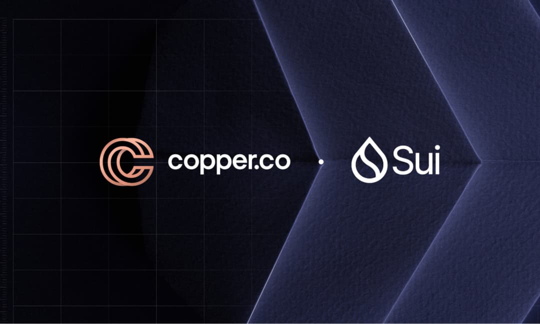 Copper &amp; Sui partner to build out full institutional accessibility