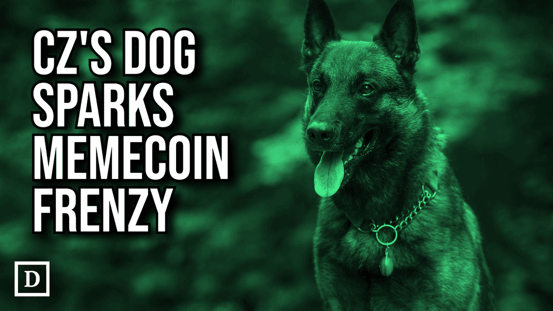 Binance Founder CZ ‘Doxxes’ His Dog and Sparks Memecoin Frenzy