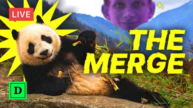 Hours After The Merge — What Happened?