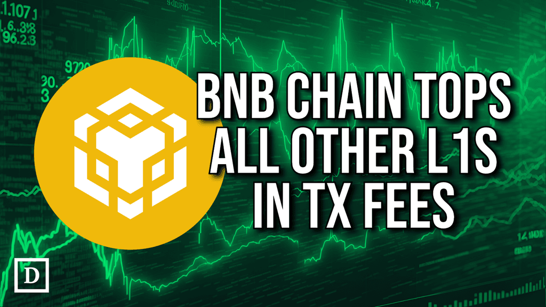 BNB Chain Beats Solana in Daily Transaction Fees