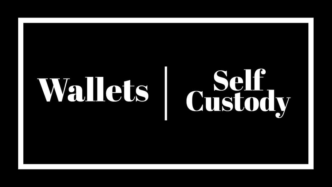 DeFi Wallets and Self-Custody: How to be 100% in Control