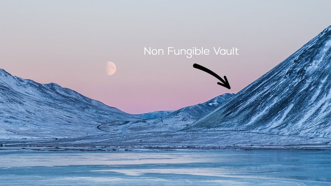 There Are NFTS Buried in the Arctic. We Went to Find Out Why
