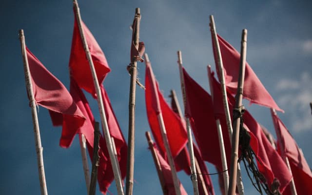 Red Flag Alert: A Framework for Vetting Crypto Projects