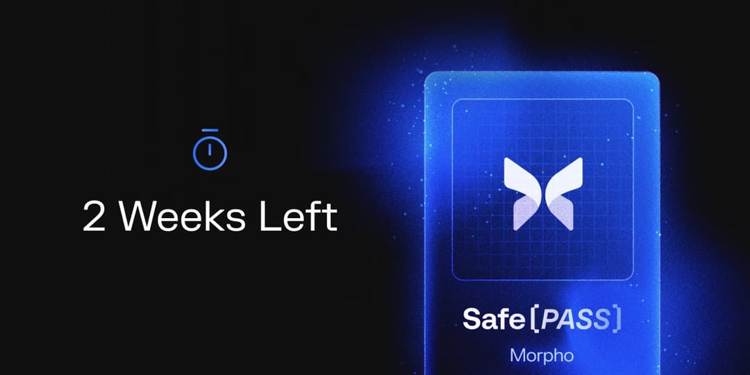 Morpho Association Invites Community to Discuss Transferability of MORPHO Token, $55M Safe{Pass} Campaign with 300 Participants