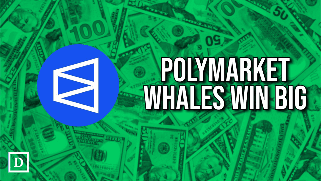 polymarket logo with money