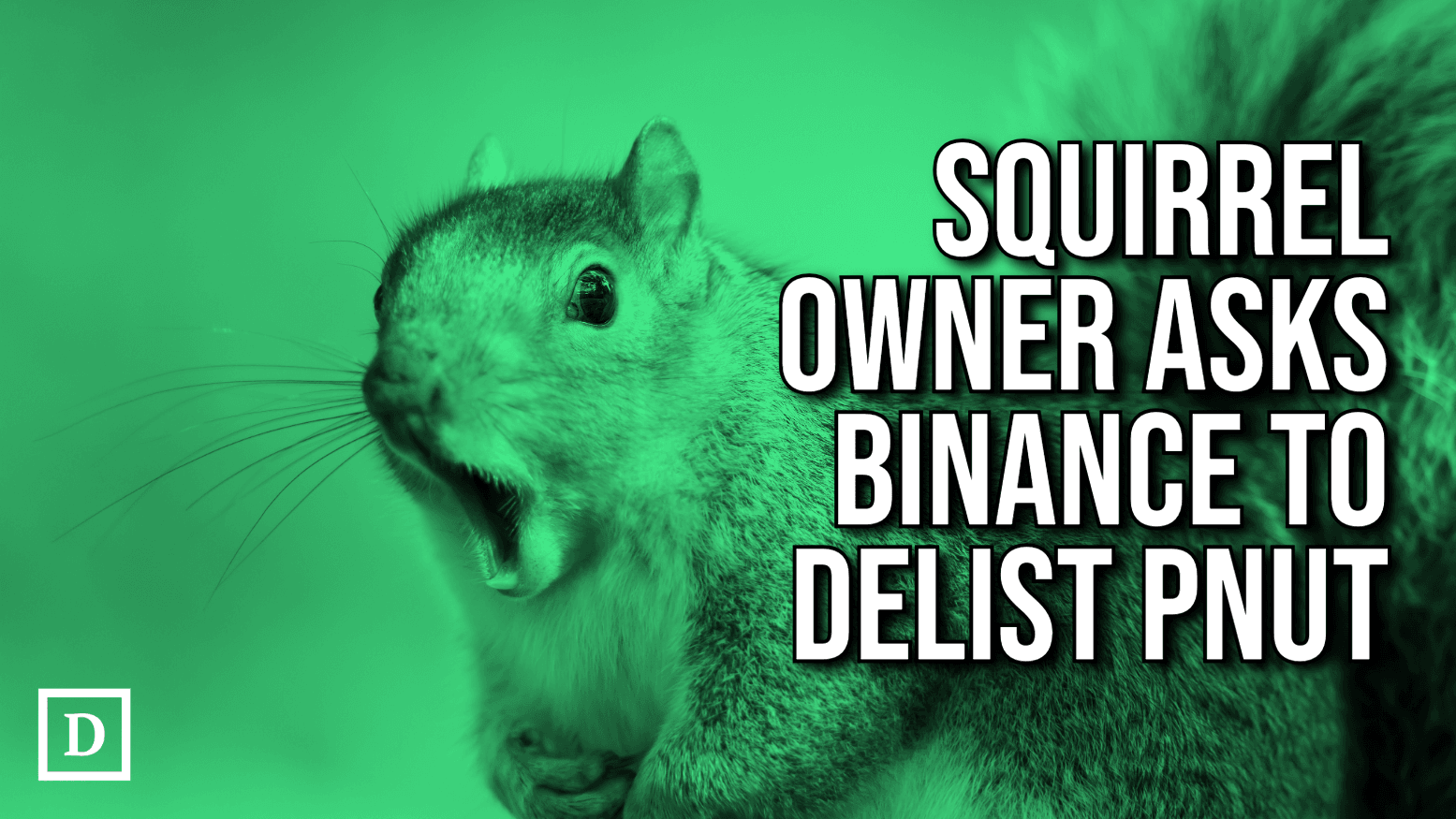 Peanut the Squirrel Lawsuit is a Warning for Memecoin Creators