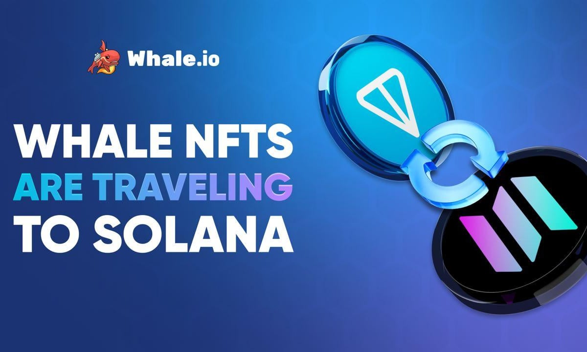 Whale NFT Bridge Goes Live: TON to Solana Migration Launches on Bridgemedaddy.com