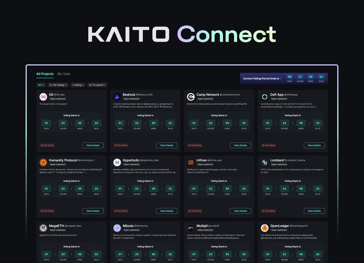 Kaito Launches Kaito Connect, Allowing Yappers to Vote on Pre-TGE Projects for Leaderboard