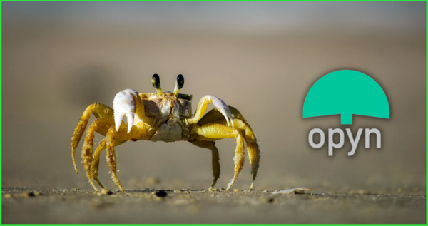 Investors Pile Into Opyn’s ‘Crab Strategy’ to Profit from a Sideways Market
