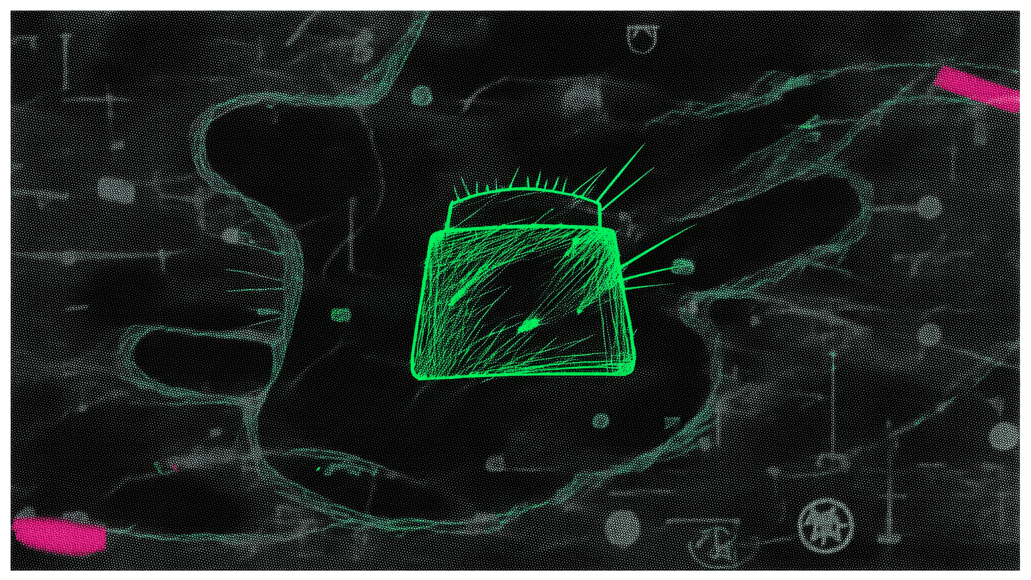 Starknet Foundation Launches Bramble Wallet With STRK20 Shielding