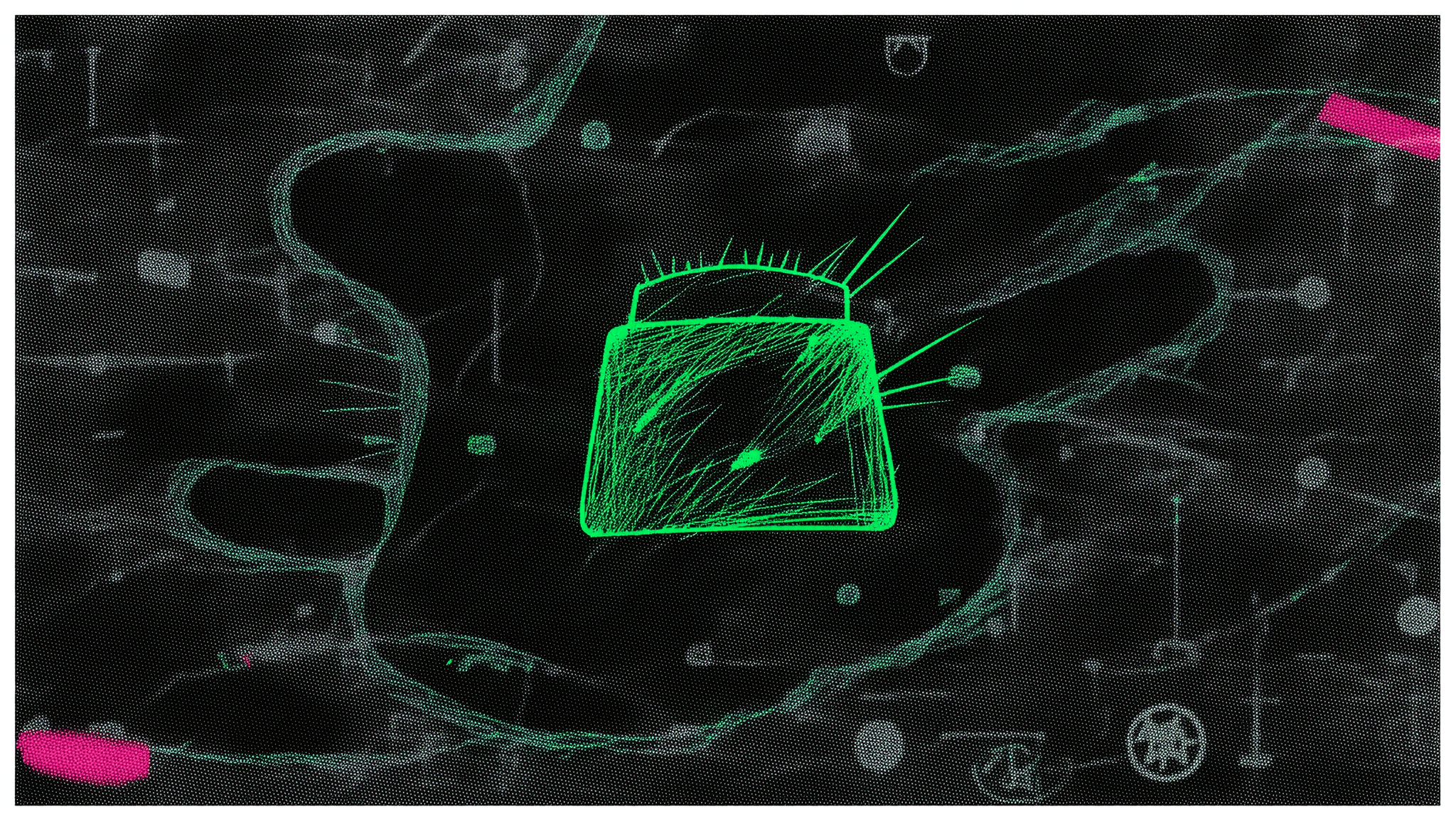 Starknet Foundation Launches Bramble Wallet With STRK20 Shielding