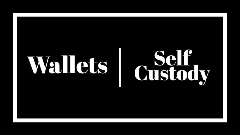 DeFi Wallets and Self-Custody: How to be 100% in Control