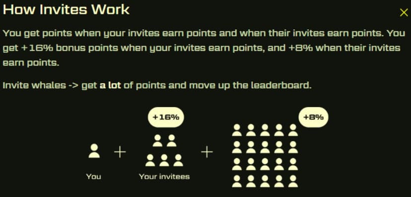 Blast Referral Program