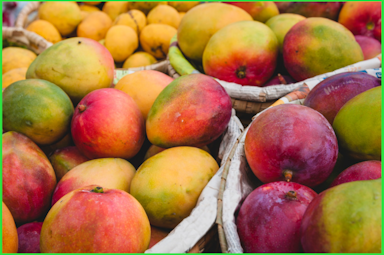 Solana DEX Mango Markets Raised $70M in Token Sale
