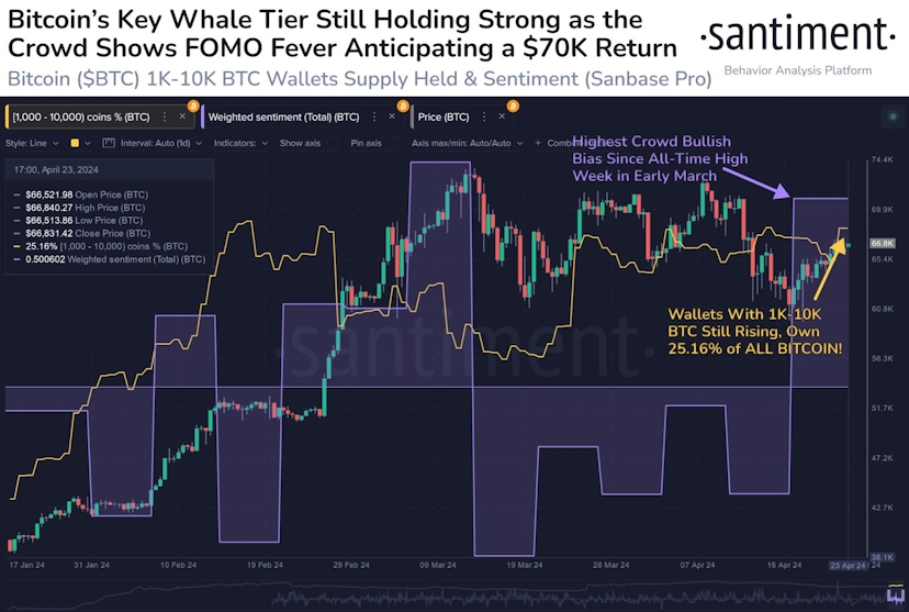 Bitcoin-Wale halten standhaft