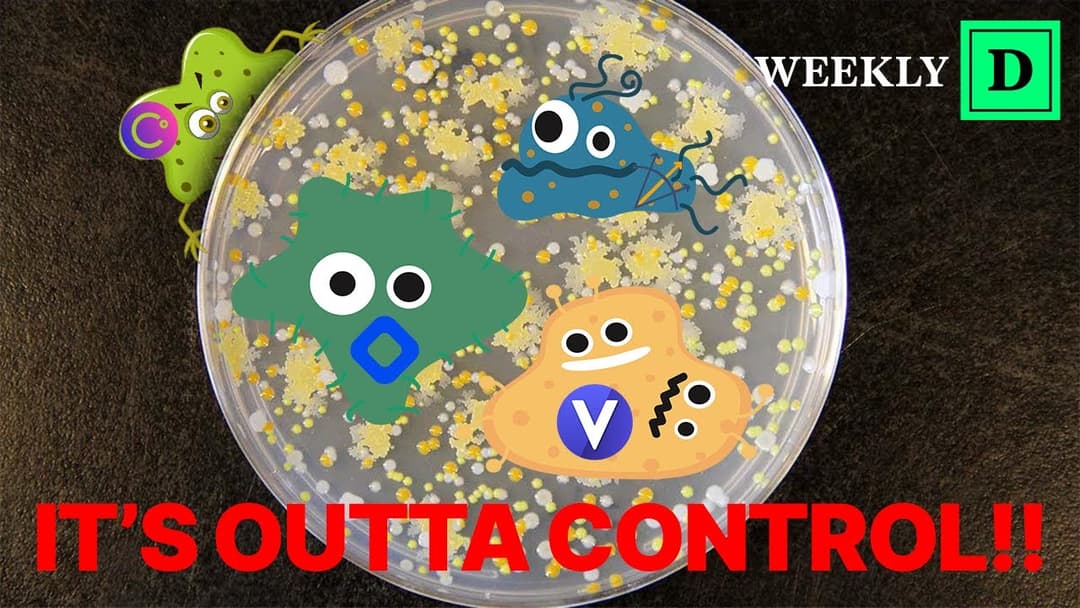 Crypto Contagion: Mapping the fallout from $LUNA, 3AC, Celsius, Voyager and BlockFi