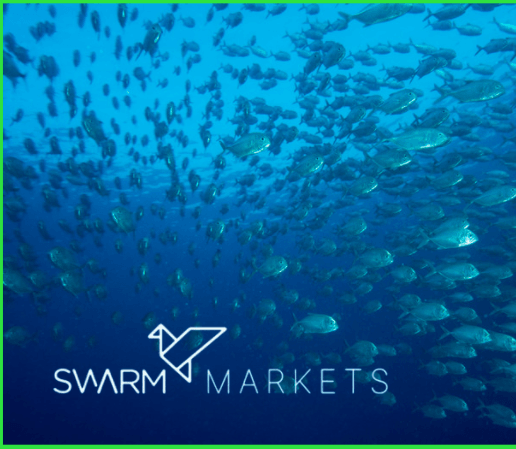 Freaked Out by DeFi? Swarm Markets Gets Licensed to Win Over Wary Investors