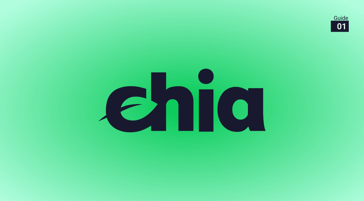 Eco-Friendly Chia Network Gets Elon Musk Boost