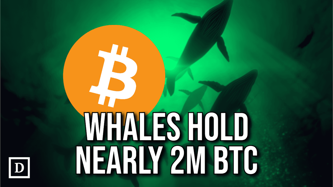 bitcoin logo with whales