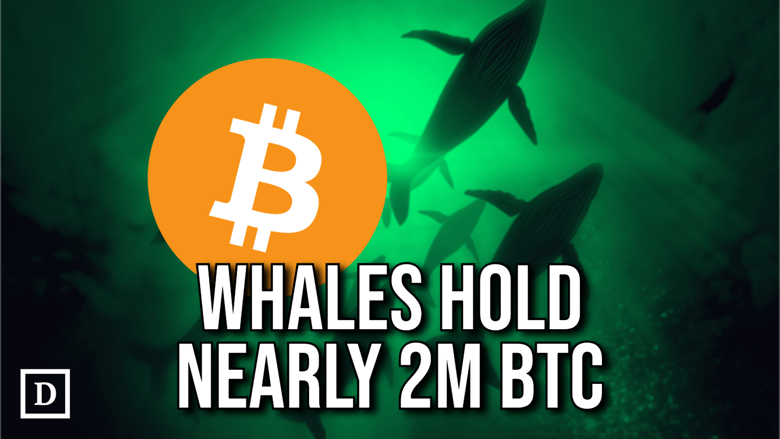 bitcoin logo with whales