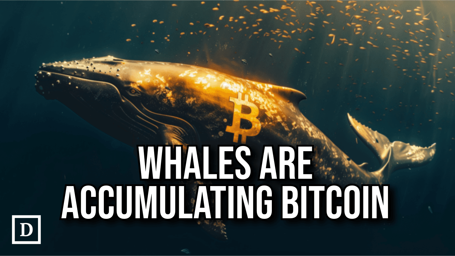 Bitcoin Wallets Holding 100 to 1,000 BTC Hit Record High