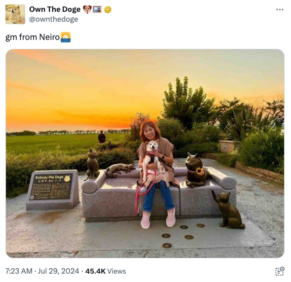 Tweet from OwnTheDoge