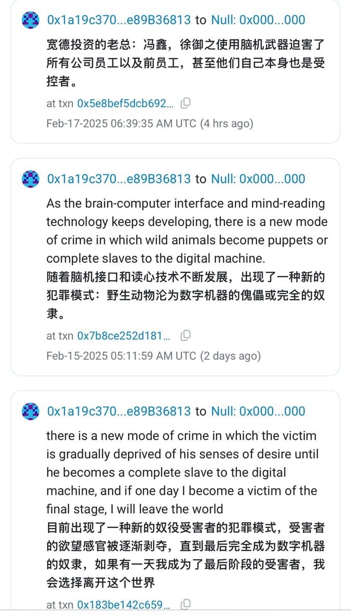 Hu Lezhi Burns $1.65M in ETH and Donates $5.35M to WikiLeaks, Accuses Kuande Investment CEOs of Brain-Computer Weapon Use