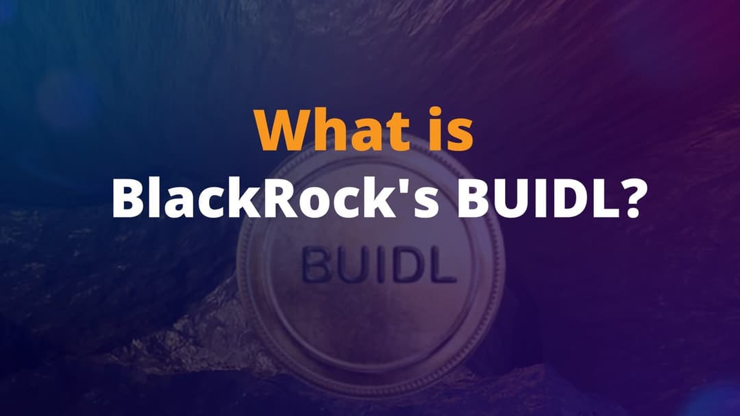 BlackRock’s $3 Billion Tokenized Fund BUIDL and sBUIDL Token Launch on Avalanche DeFi Ahead of London Summit