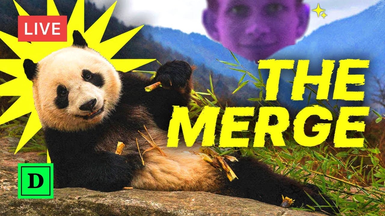 Hours After The Merge — What Happened?