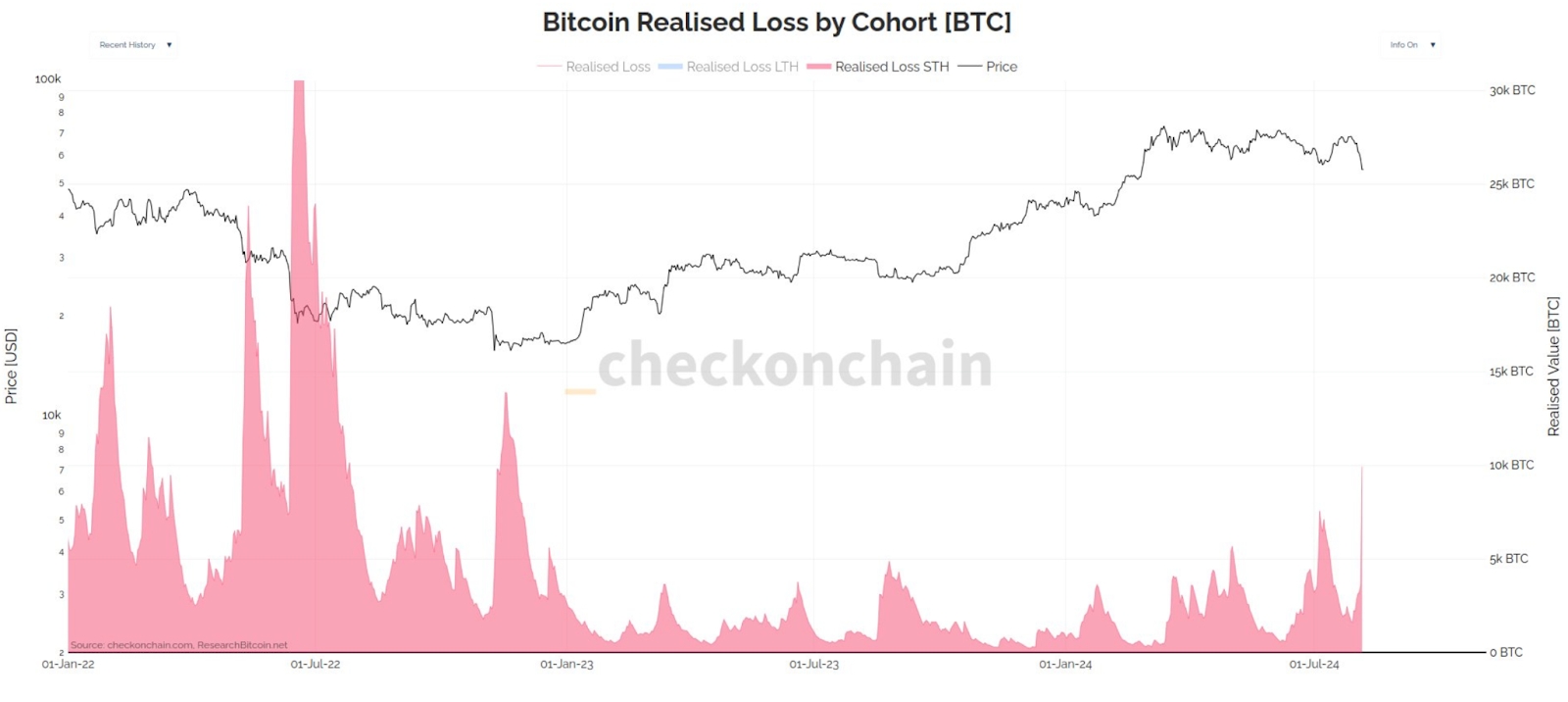 Chart showing Bitcoin Realized Loss By Cohort.