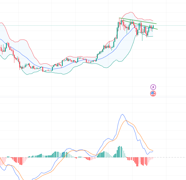 $BTC Shows Bullish Momentum as Futures Funding Rate Hits Multi-Month High