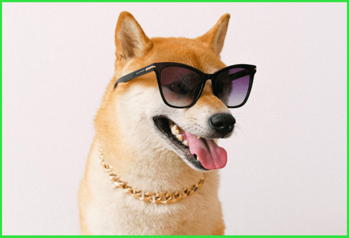 ShibaSwap Is Dragging Ethereum By the Tail