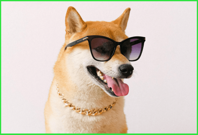 ShibaSwap Is Dragging Ethereum By the Tail