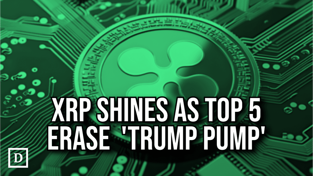 XRP Defies Trump Slump as Major Cryptocurrencies Erase Post-Election Gains