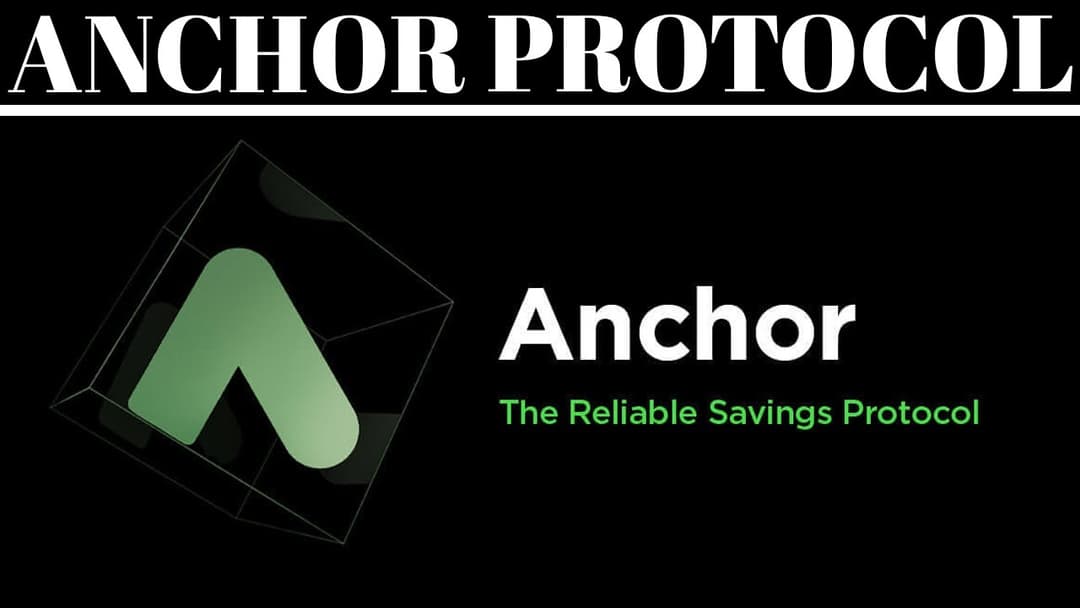 Terra Degen: Playing Both Sides of the Anchor Money Market