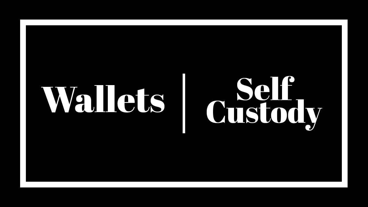 DeFi Wallets and Self-Custody: How to be 100% in Control