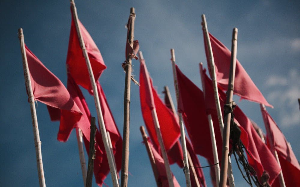 Red Flag Alert: A Framework for Vetting Crypto Projects
