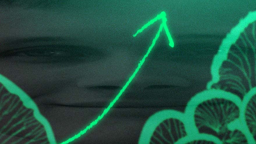 Gitcoin's Metalabel Drop Tops OpenSea Charts
