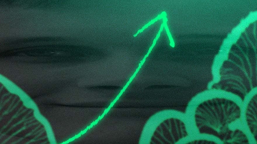 Gitcoin's Metalabel Drop Tops OpenSea Charts