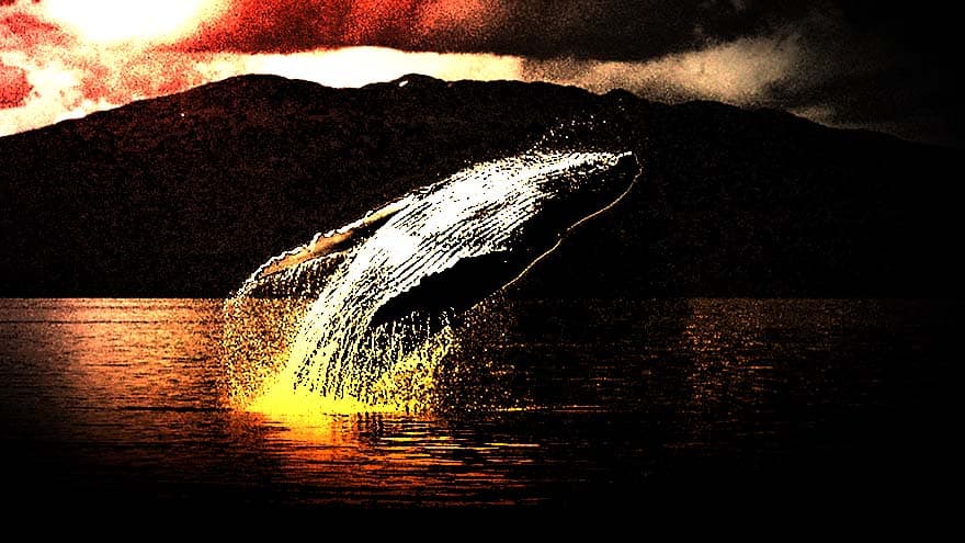 Solend and Mango Markets Team Up to Handle Whale's $207M Debt