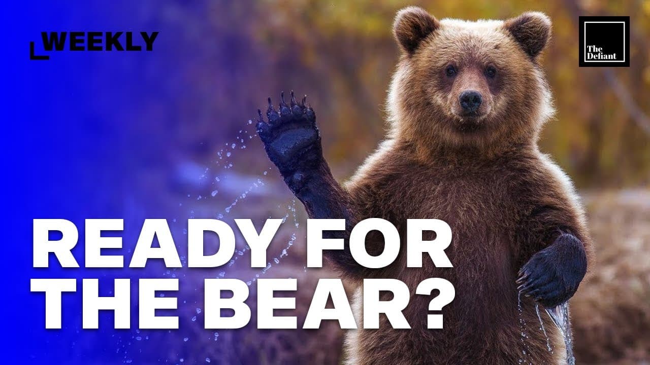 You Are NOT Ready for the BEAR