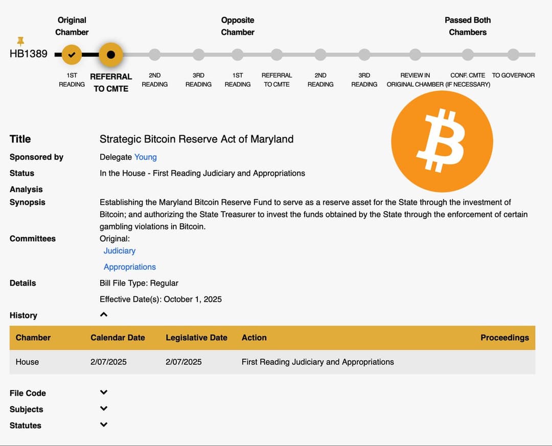 Maryland's Caylin Young Files Strategic Bitcoin Reserve Act, Joining 18 States
