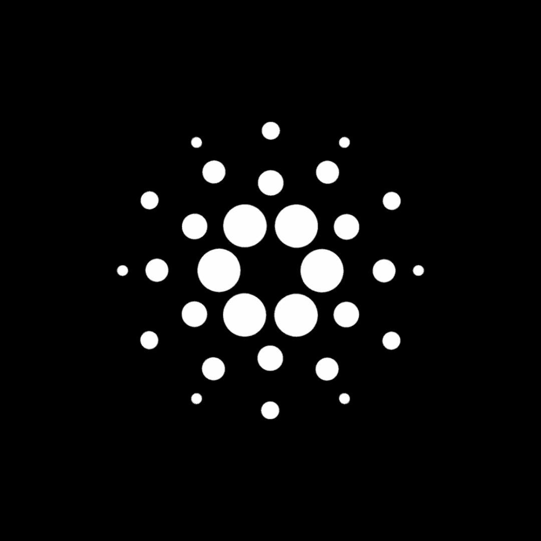 Cardano's Plomin Hard Fork Goes Live, Granting $ADA Holders Voting Power; Voting Ends January 30th