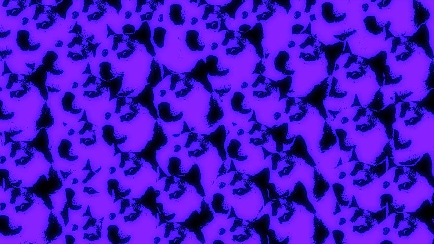 Dogechain is a Pump-and-Dump Scheme, On-Chain Sleuths Say